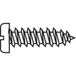 TOOLCRAFT 839814 Vis à tôle 2.9 mm 9.5 mm Fente DIN 7971 Acier zingué 20 pièce(s)