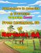 Somewhere in America: A Traveling Coloring Book
