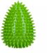 Dog Comets Cosmic Egg - L - Groen
