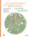 Lannoo De geschiedenis van Brussel in oude kaarten