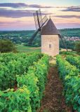 Ravensburger Nathan puzzel Moulin Sorine - Vignoble de Santenay - Bourgogne - 1000 stukjes
