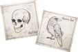 Folat Servetten Creepy Curiosities 20 stuks (33 x 33 cm) Halloween