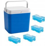 POTZ Cooler Box, Blue, Portable, with Removable Lid and Handle, Lightweight and Durable, Includes 8 Ice Packs, Ideal for Picnic, Camping, Beach – 30L