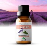 Zenful Lavandin etherische olie - Lavendel olie - 100% Puur & Biologisch - Aromatherapie - Geur - Diffuser - 10 ml