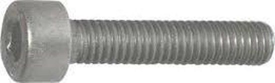 Deltafix Inbusbout M5x20mm RVS 12st