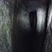 Tunnel Icecat Tunnel Vision