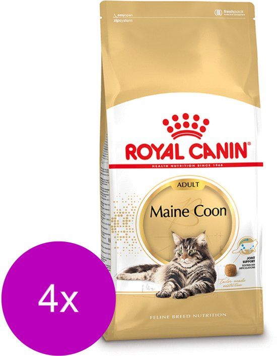 Royal Canin Fbn Mainecoon Adult - Kattenvoer - 4 x 4 kg