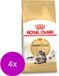 Royal Canin Fbn Mainecoon Adult - Kattenvoer - 4 x 4 kg