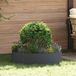 vidaXL Plantenring 5 stuks Antraciet 80 x 80 x 20 cm Koudgewalst staal
