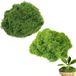 Set de mousse artificielle, 200 grammes, 2 pièces, vert foncé et vert clair, idéal pour la mosaïque DIY, les aquariums et la modélisation.