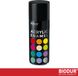 BIODUR Acrylverf - Gitzwart RAL 9005 – 400 ML – Spuitbus Hoogglans Lak