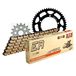 Kettingset DID Kettingset staal 428NZ / 132 clipslot voor MuZ/MZ SM 125 cc bj. 2002-2011