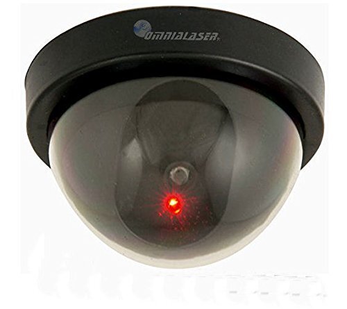 OmniaLaser OL-DUMMYDOME dome-camera met 1 infrarood leds