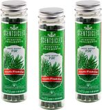 ScentSicles White Winter Fir geur voor je kerstboom (18 geurstokjes)