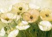 Your Decoration B.V Impression d'art Elisabeth Krobs - Tender Poppies 29,7x21cm