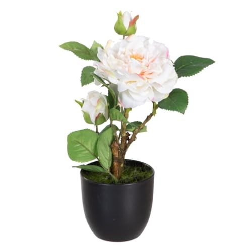 BigBuy Home Decoratieve plant, roze, 16 x 16 x 31 cm
