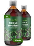 Organifer Vloeibare Meststof Voor Coleus 2X1 L - NPK 3-4-3