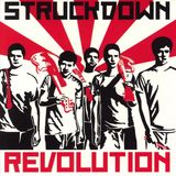 Suburban Struck Down - Revolution