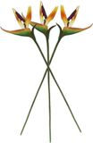 Merkloos Kunstbloem Strelitzia - 3x - 62 cm - Oranje