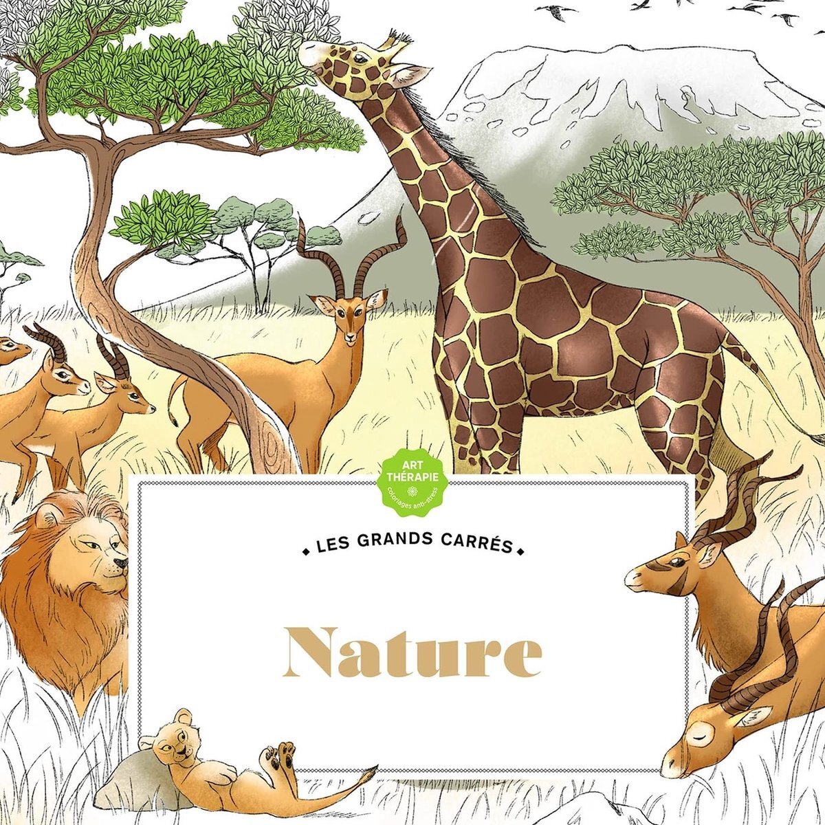 hachette heroes Les Grands Carrés Nature Art Therapie - Kleurboek voor volwassenen