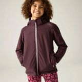 Regatta Veste Softshell Haydenbury
