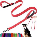 Hondenriem - met twee gewatteerde handgrepen, twee hondenriemmodi, dubbelzijdige reflecterende nylon hondenriem voor training en wandelen, perfect voor middelgrote en grote honden