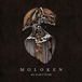 All Moloken - All Is Left To See (LP)