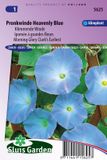 Sluis Garden Klimmende Winde Clark's Blue (Ipomoea) Bloemzaad