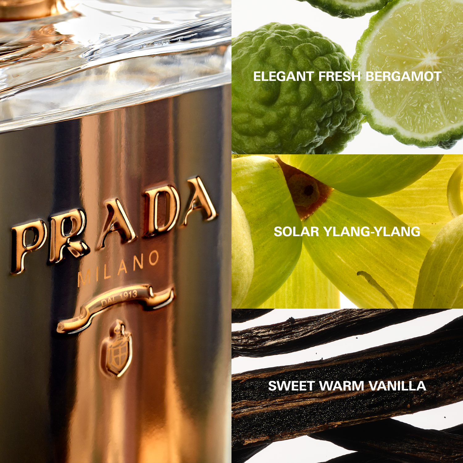 Prada Eau de Parfum / 100 (ml) / Women