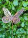 Papillon Edelrost Mona, sur une antenne