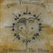 Coast2Coast Dreu Ferguson Sr. - In Between The Blues (CD)