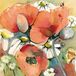 Marta Peuckert Impression d'art - Coquelicots et marguerites 21x21cm