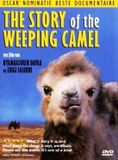 Remain in Light The Story of the Weeping Camel - DVD