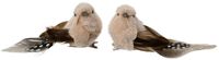Decoris Kaemingk Vogel veer L4b12h4,5 cm creme a2 1 stuk(s) wit Stof, Veren
