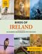Birds of Ireland: A Birdwatching Picture Book with Fun Facts and Photography for Kids, Adults & Birders