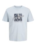 JACK&JONES JJHONOLULU SHAPE TEE SS CREW NECK JNR Jongens T-shirts