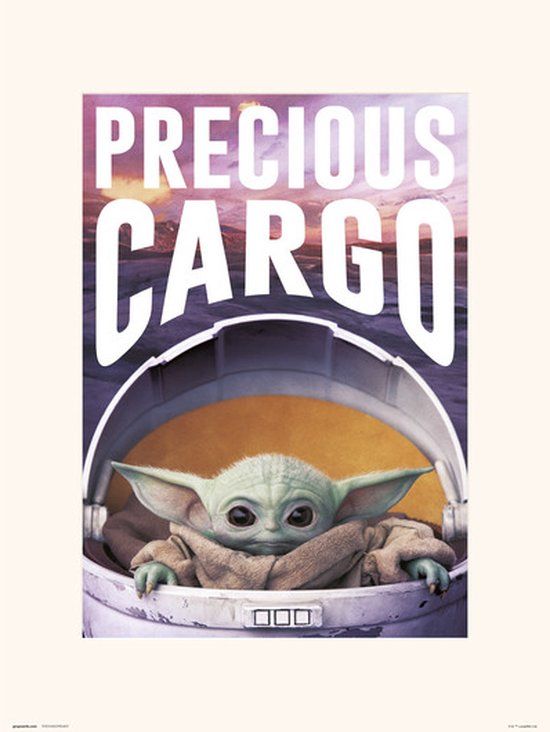 Grupo STAR WARS THE MANDALORIAN PRECIOUS CARGO - Art Print 30x40 cm