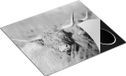 Chefcare Inductie Beschermer Twee Schotse Hooglanders Zwart Wit 57,6x51,6 cm