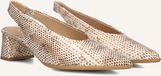 Notre-V 41903 Hakken Dames - Beige - Maat 40