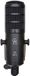 Golden Age Audio D2 MKII microphone dynamique