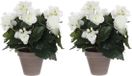 Mica Decorations Kunstplant - 2x stuks - begonia - blanc - in pot - 30 cm