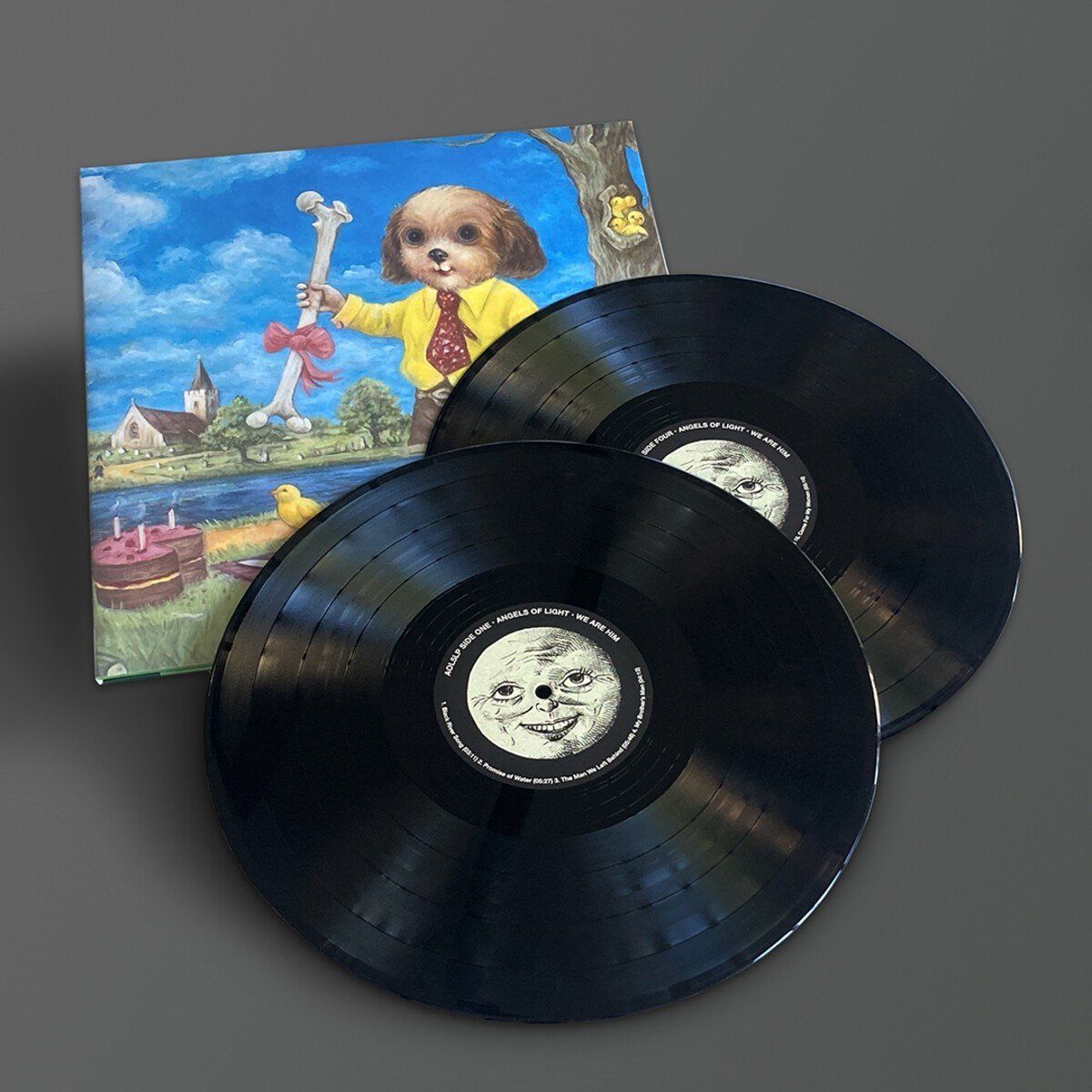 PIAS Nederland Angels Of Light - We Are Him (LP)