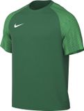 Nike Dri-Fit Academy Sportshirt Mannen Groen Maat S