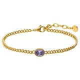 Lucardi - Dames Stainless steel armband met geboortesteen zirkonia voor dames - Armband - Staal - Goudkleurig - 20 cm