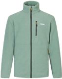 Regatta Brinnden Fleece Vest Heren L Donker Bosgroen