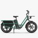 Fiido T2 (2025) All-Terrain-Cargoe-Bike (grün)