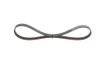 BOSCH Keilrippenriemen 1987946128