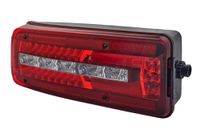 HELLA 2VD 012 381-011 Achterlicht - Truck Full LED - 24V - Opbouw/geschroefd - Helder/rood - 500mm kabel - DIN Bajonett stekker