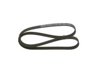 BOSCH Keilrippenriemen 1987948343
