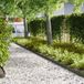 Bordure de jardin 50 pièces 100 x 0,05 x 15 cm Acier laminé à froid Vert olive